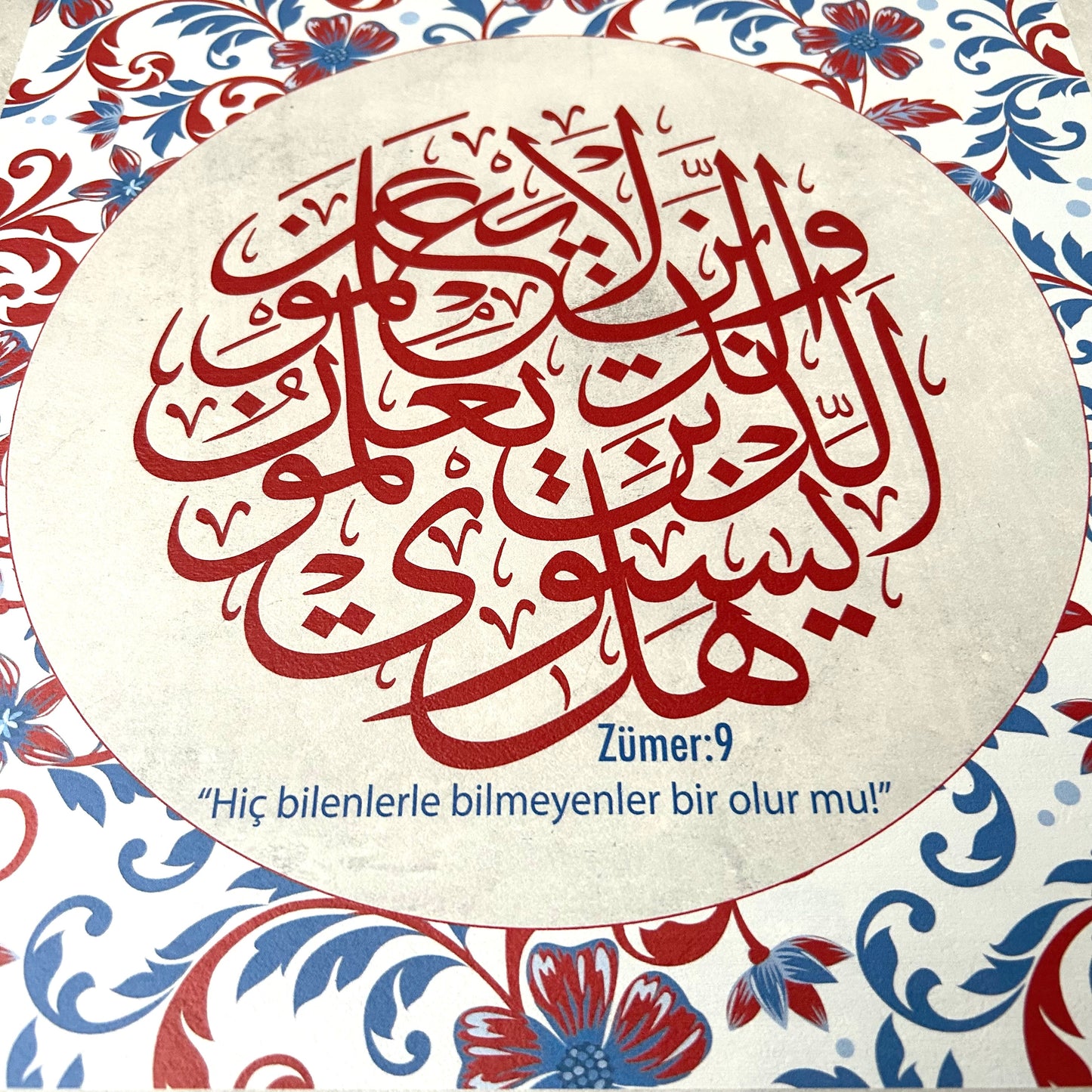 “İlim” ve “Alim” Özel Seri